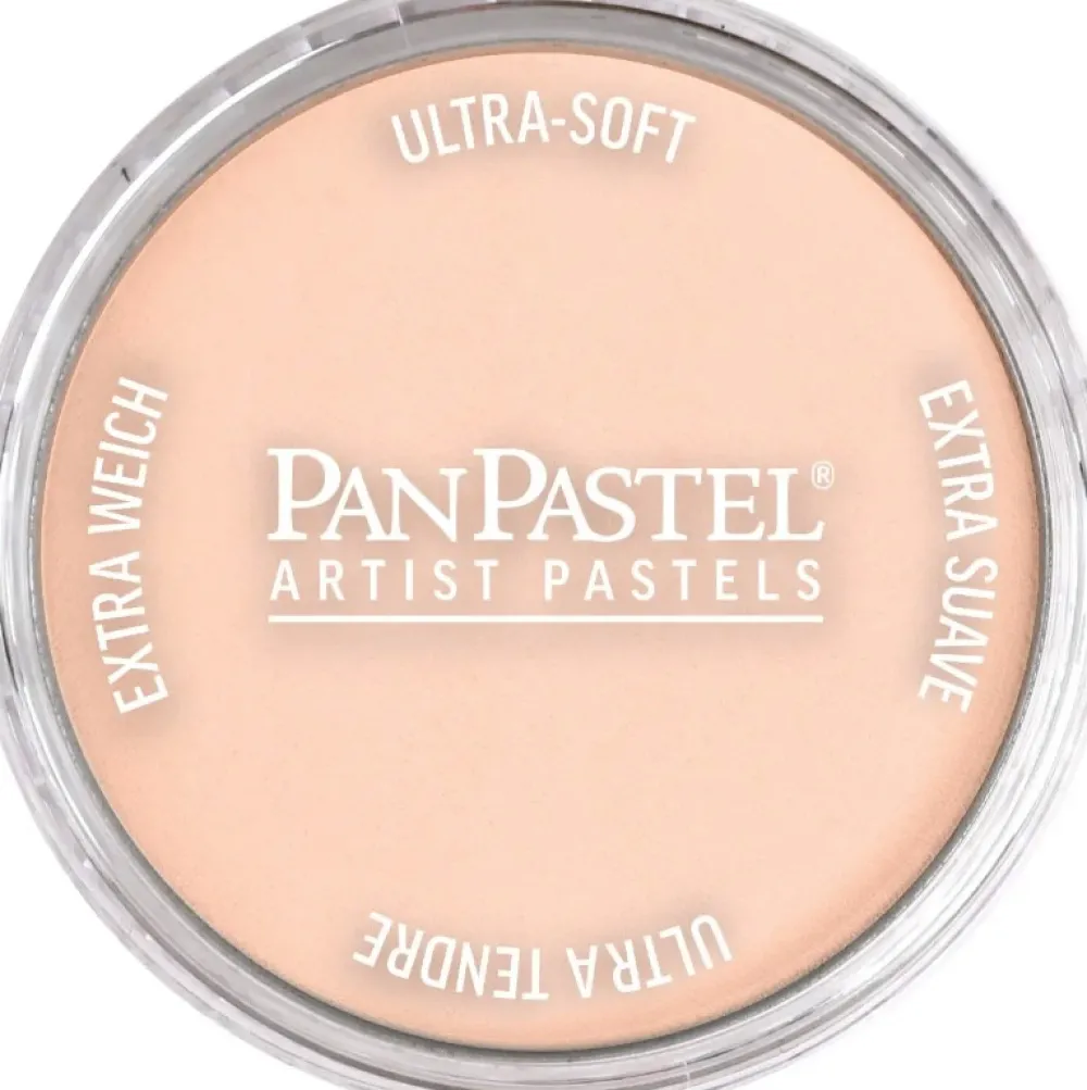 PanPastel Pastela sucha - 380.8 Red Iron Oxide Tint