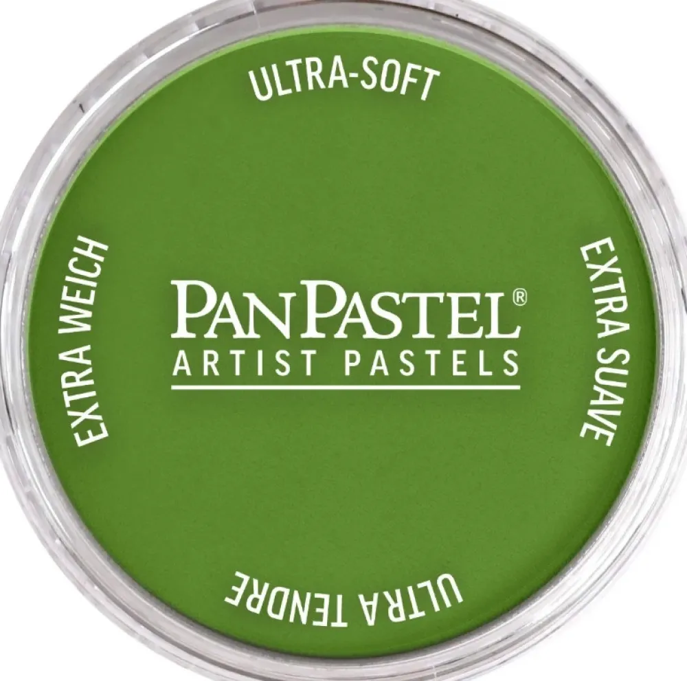 PanPastel Pastela sucha - 690.3 Yellow Green Shade > Pastele