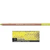 Caran d'Ache Pastela sucha w kredce Pastel Pencil - - 732, Brown Olive 10% > Pastele