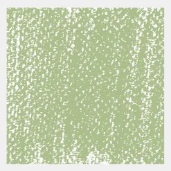Rembrandt Pastel sucha Soft - - Olive Green 10