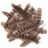 dpCraft Piórka kacze - - naturalne, 5 g