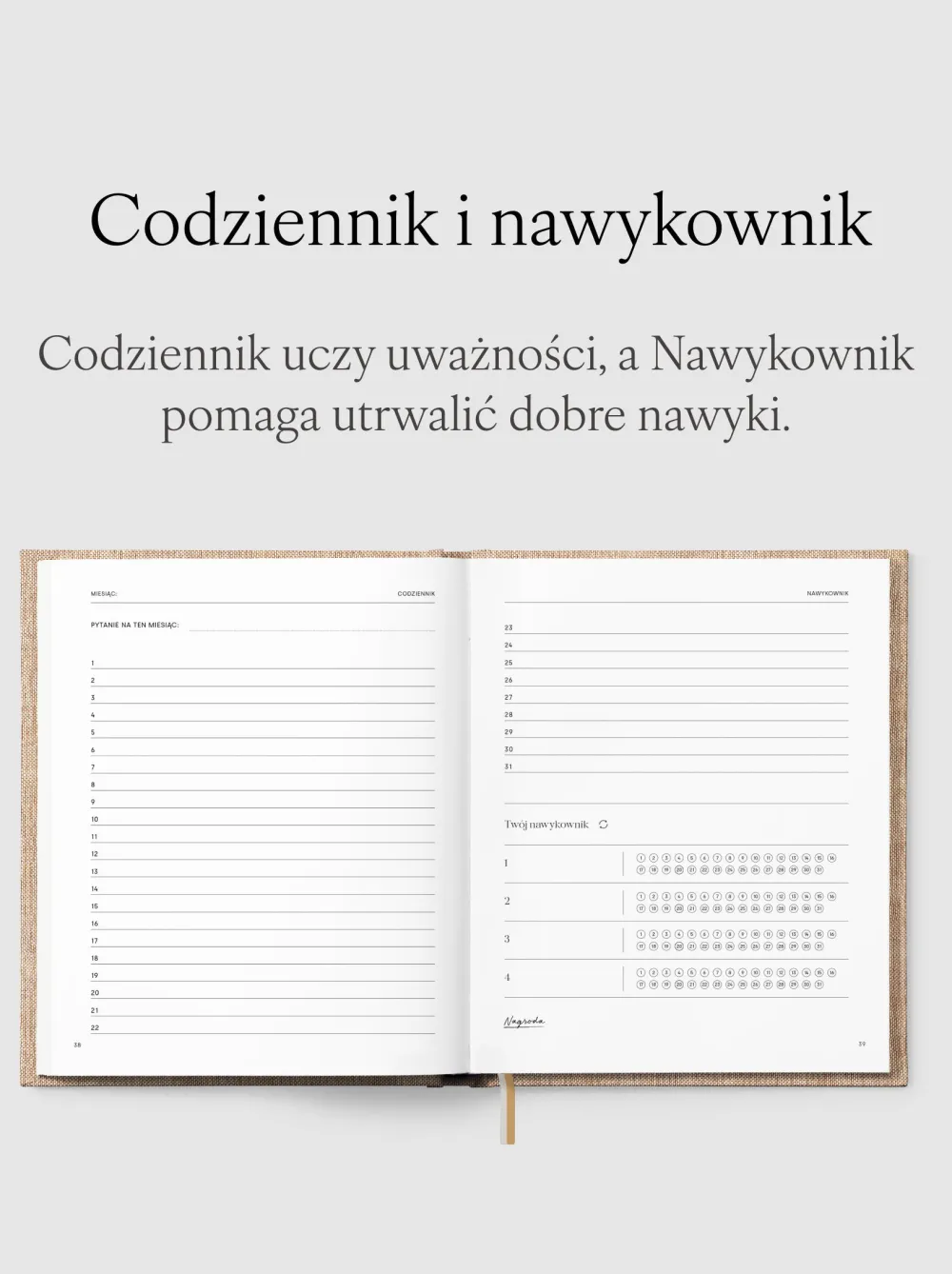 Jasnie Plan Planer niedatowany - Jaśnie Plan - Lilac > Planery Niedatowane
