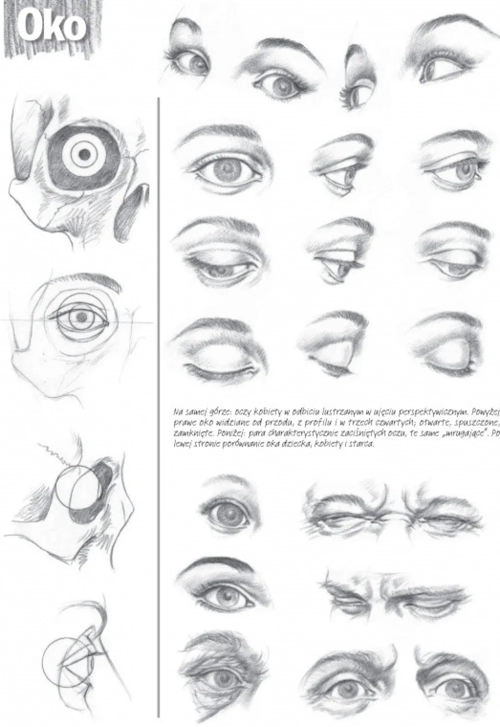KOH-I-NOOR Poradnik Leonardo Compact Series - - Podstawy Rysunku, Tom 3