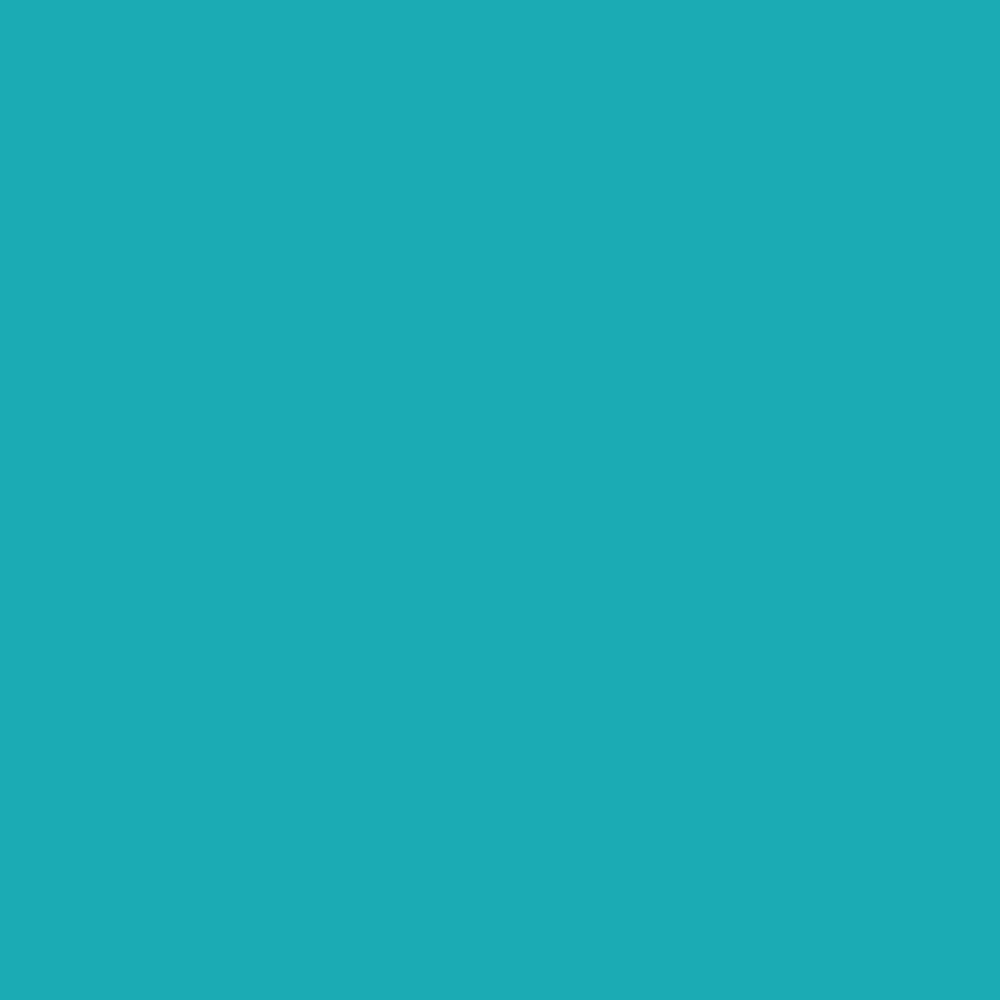 Winsor & Newton Promarker Brush - - Turquoise