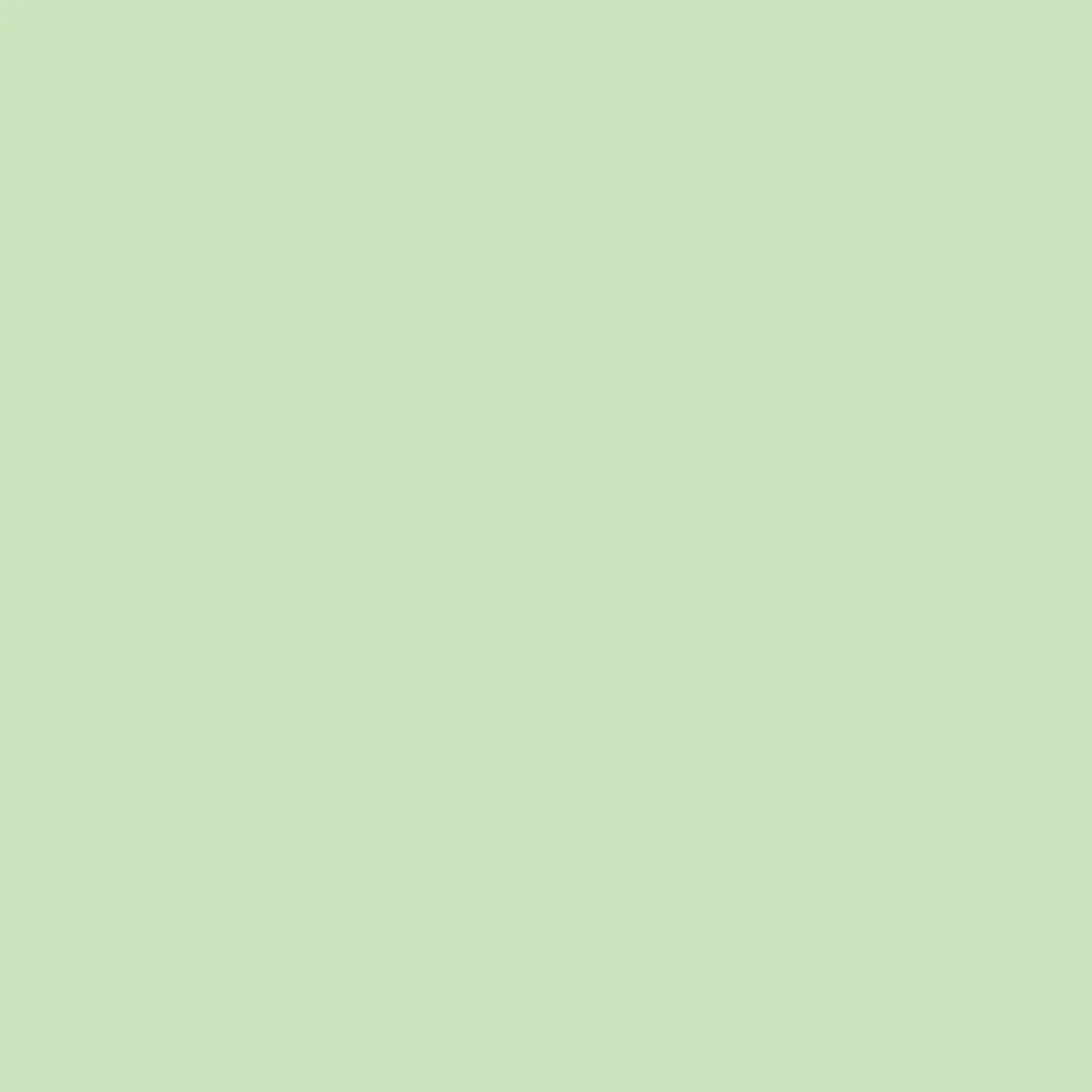 Winsor & Newton Promarker Brush - - Meadow Green