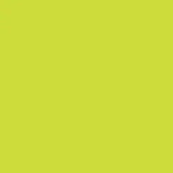 Winsor & Newton Promarker Brush - - Lime Green