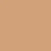 Winsor & Newton Promarker Brush - - Cinnamon