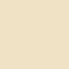 Winsor & Newton Promarker Brush - - Champagne