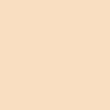 Winsor & Newton Promarker Brush - - Blush