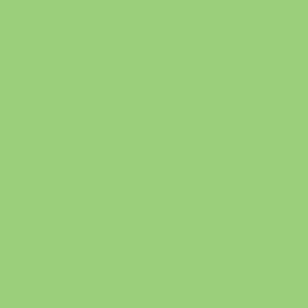 Winsor & Newton Promarker Brush - - Apple