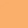 Winsor & Newton Promarker - - Apricot