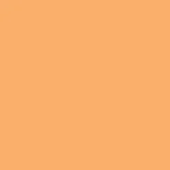Winsor & Newton Promarker - - Apricot