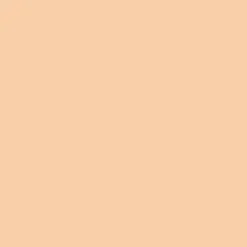 Winsor & Newton Promarker - - Bisque > Markery, Brushpeny I Pisaki