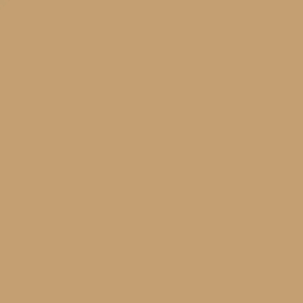 Winsor & Newton Promarker - - Caramel > Markery, Brushpeny I Pisaki