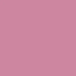 Winsor & Newton Promarker - - Dusky Rose