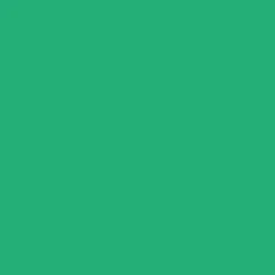 Winsor & Newton Promarker - - Emerald