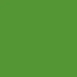 Winsor & Newton Promarker - - Forest Green ><noscript><img width=