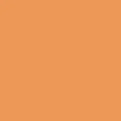 Winsor & Newton Promarker - - Ginger > Markery, Brushpeny I Pisaki
