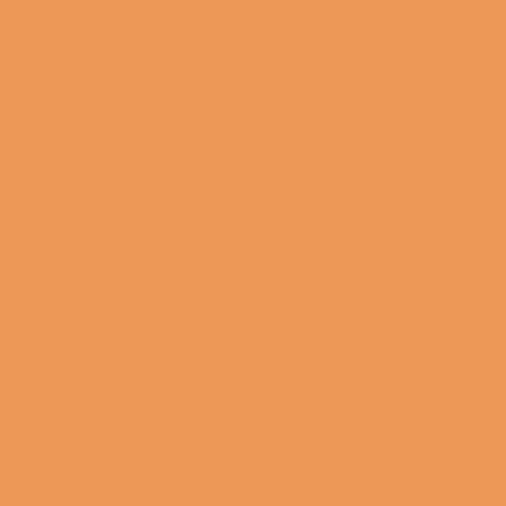 Winsor & Newton Promarker - - Ginger > Markery, Brushpeny I Pisaki