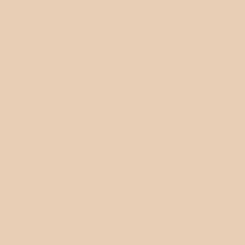 Winsor & Newton Promarker - - Pale Cream