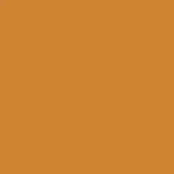Winsor & Newton Promarker - - Raw Sienna