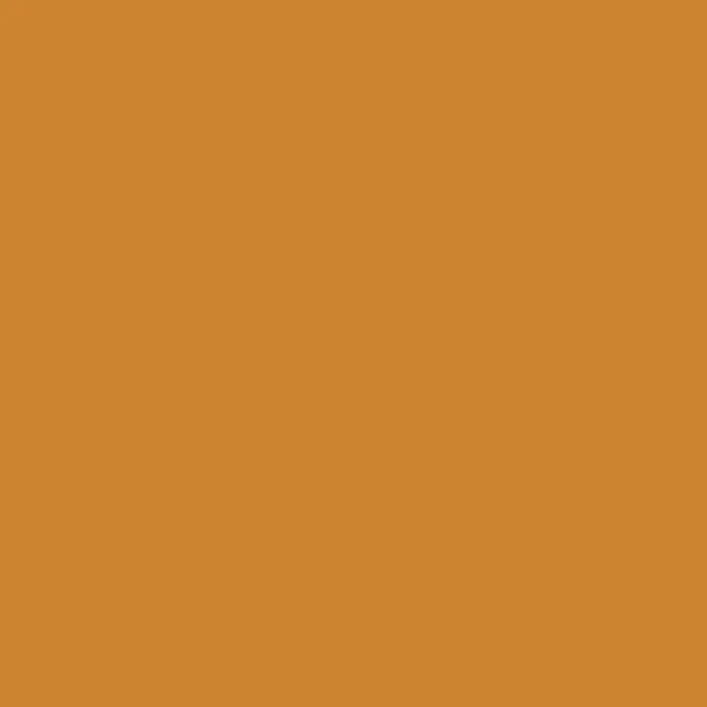 Winsor & Newton Promarker - - Raw Sienna