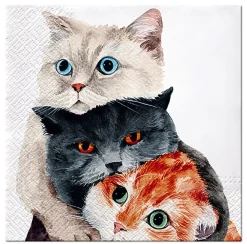PAW Decor Collection Serwetki ozdobne - Paw - Better Together, 20 szt. > Serwetki