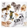 PAW Decor Collection Serwetki ozdobne - Paw - Dog Happiness, 20 szt. > Serwetki