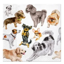 PAW Decor Collection Serwetki ozdobne - Paw - Dog Happiness, 20 szt. > Serwetki