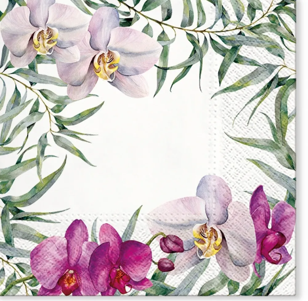 PAW Decor Collection Serwetki ozdobne - Paw - Elegant Orchid, 20 szt. > Serwetki