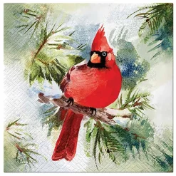 PAW Decor Collection Serwetki ozdobne - Paw - Winter Cardinal, 33 x 33 cm, 20 szt.