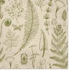 PAW Decor Collection Serwetki ozdobne We Care - Paw - Forest Nature, 20 szt. > Serwetki