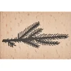 Rico Design Stempel drewniany Gałązka sosnowa - - 7 x 4,5 cm > Tusze I Stemple