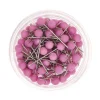 Rico Design Szpilki ozdobne - - Violet, 16 mm, 100 szt. > Klipsy, Pinezki I Szpilki