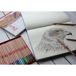 Talens Art Creation Zestaw kredek ołówkowych - - 12 kolorów ><noscript><img width=