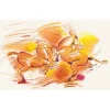 Faber-Castell Zestaw kredek Polychromos w zwijanym piórniku - - 30 kolorów > Kredki