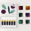 Tom's Studio Zestaw mini atramentów Botanical - - 6 x 5 ml > Atramenty