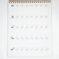 Devangari Zeszyt z ćwiczeniami do brush letteringu Flourishing, B5 - - 170 g/m2 ><noscript><img width=