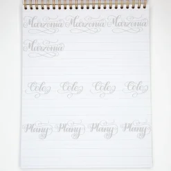 Devangari Zeszyt z ćwiczeniami do brush letteringu Flourishing, B5 - - 170 g/m2 ><noscript><img width=